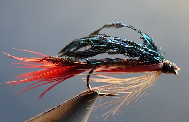 alaxandra fly flytying cerques biots tying mouche noyée wet fly eclosion