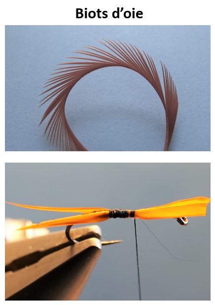 cerques tail mouches fly tying flytyting eclosion goose oie biot