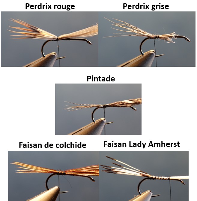 cerques mouches fly tying flytyting eclosion faisan pheasant perdrix partridge pintade guinea fowl