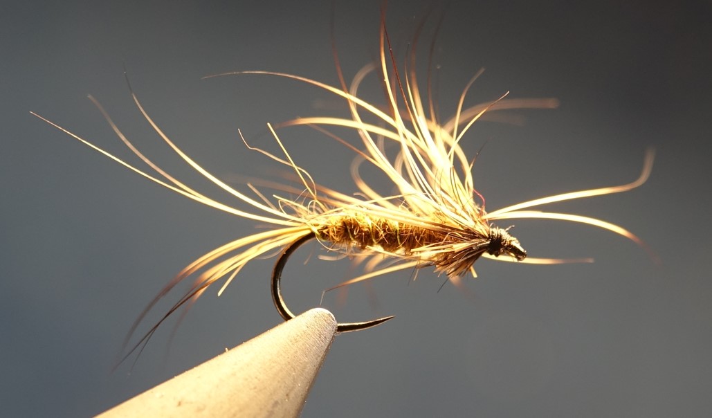 ORL lievre hare cerque aile wing collerette cerque tail fly mouche flytying eclosion