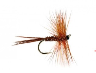 cerques mouches fly tying flytyting eclosion pheasant tail faisan colchide 
