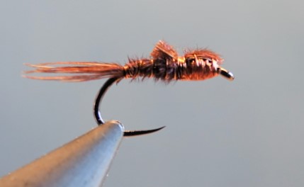 eclosion nymph nymphe faisan cerque pheasant tail fly flytying tying