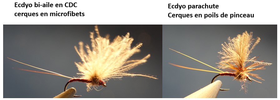 ecdyo ecdyonorus cerque mouche fly flytying microfibet CDC parachute eclosion