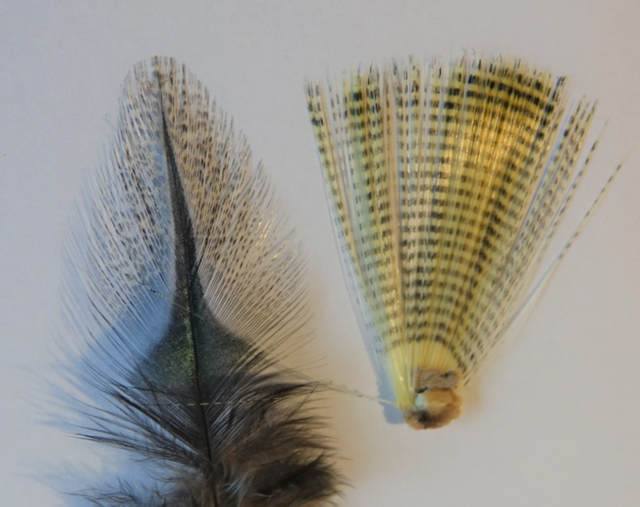 pardo microfibet cerque mouche fly flytying eclosion