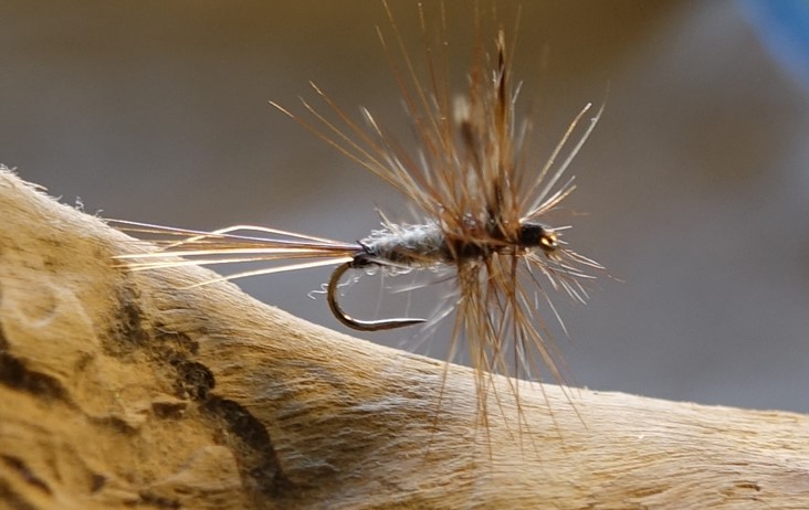 Adams mouche fly dryfly hackle flytying eclosion Blajoux