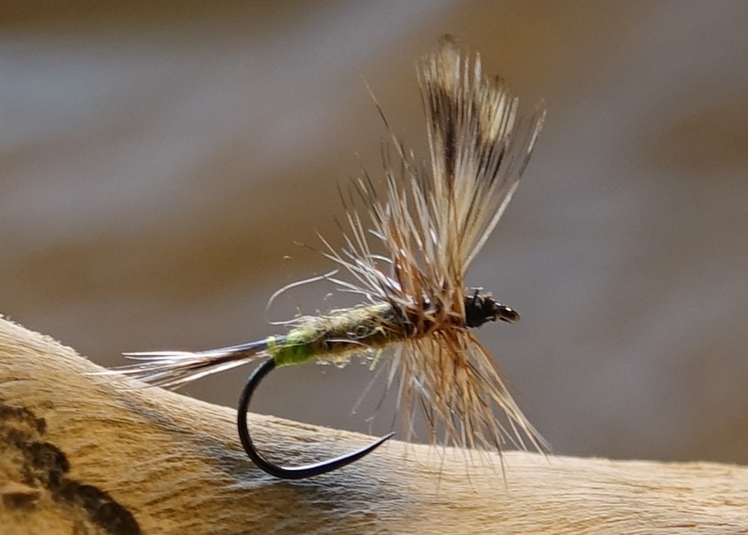 Adams mouche fly dryfly hackle flytying eclosion Casa