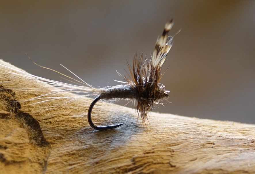 Adams mouche fly dryfly hackle flytying eclosion Casa Chris