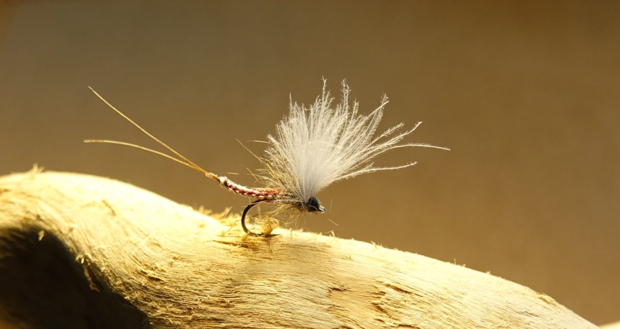 Ecdyo Ecdyonaurus ephemeremouche fly corps détaché flytying eclosion