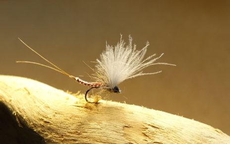 Ecdyo Ecdyonaurus ephemeremouche fly corps détaché flytying eclosion