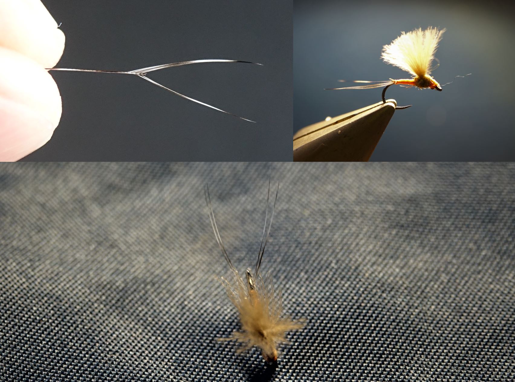 epheere mouche fly flytying eclosion