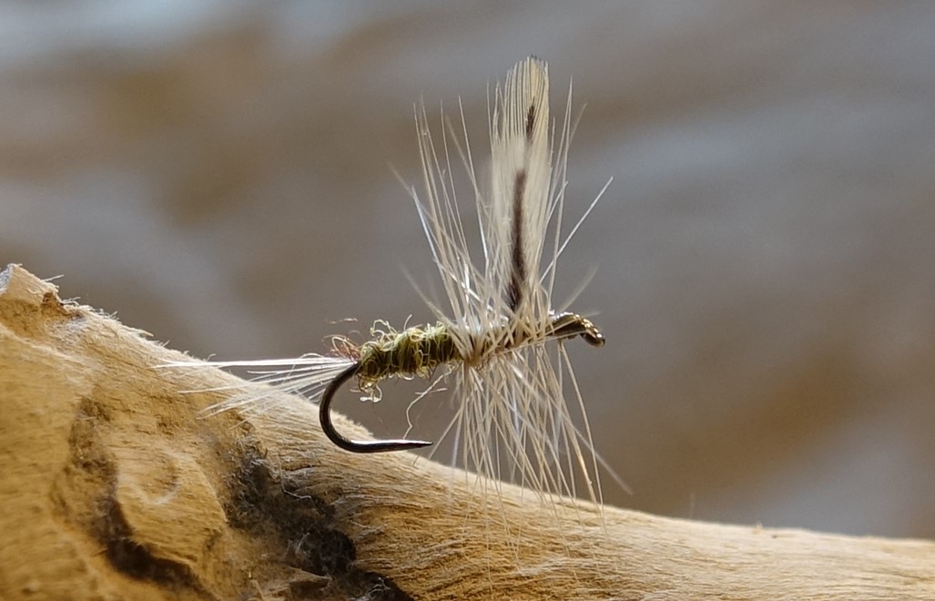 Adams mouche fly dryfly hackle flytying eclosion Casa Chris Eric06