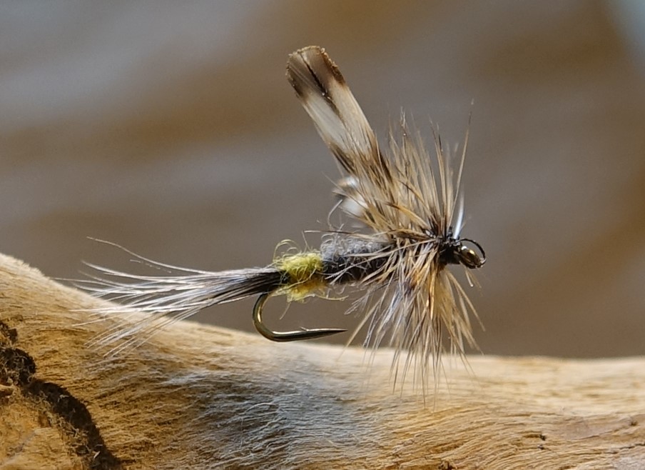 Adams mouche fly dryfly hackle flytying eclosion Casa Chris Eric06 Flylutz
