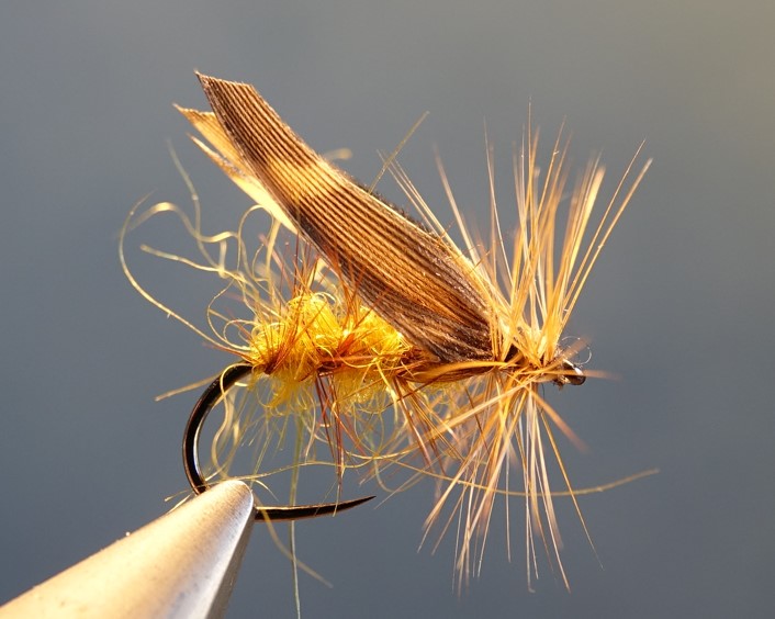 Gallica sedge caddis fly mouche becasse woodcockflytying eclosion