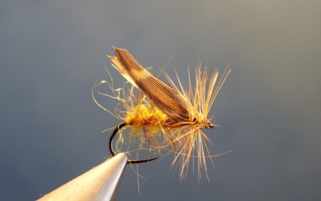 Gallica sedge caddis fly mouche becasse woodcockflytying eclosion