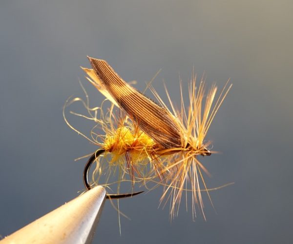 Gallica sedge caddis fly mouche becasse woodcockflytying eclosion