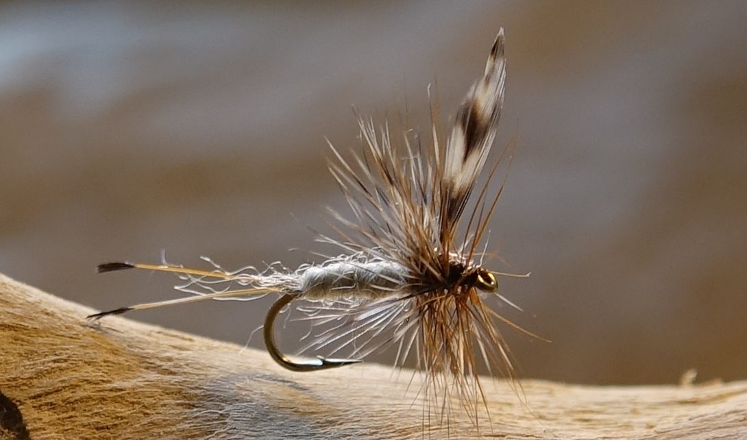 Adams mouche fly dryfly hackle flytying eclosion Casa Chris Eric06 Flylutz Lapoisse