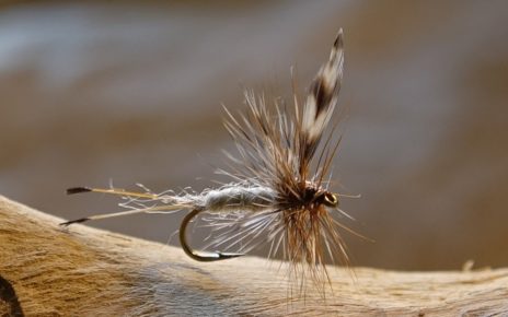 Adams mouche fly dryfly hackle flytying eclosion Casa Chris Eric06 Flylutz Lapoisse