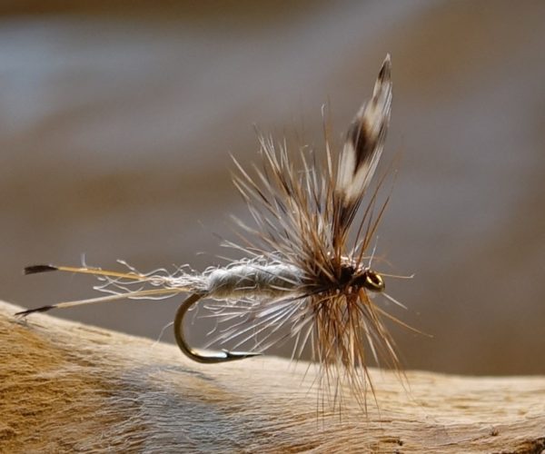Adams mouche fly dryfly hackle flytying eclosion Casa Chris Eric06 Flylutz Lapoisse