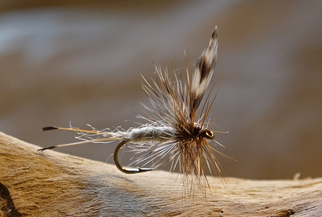 Adams mouche fly dryfly hackle flytying eclosion Casa Chris Eric06 Flylutz Lapoisse