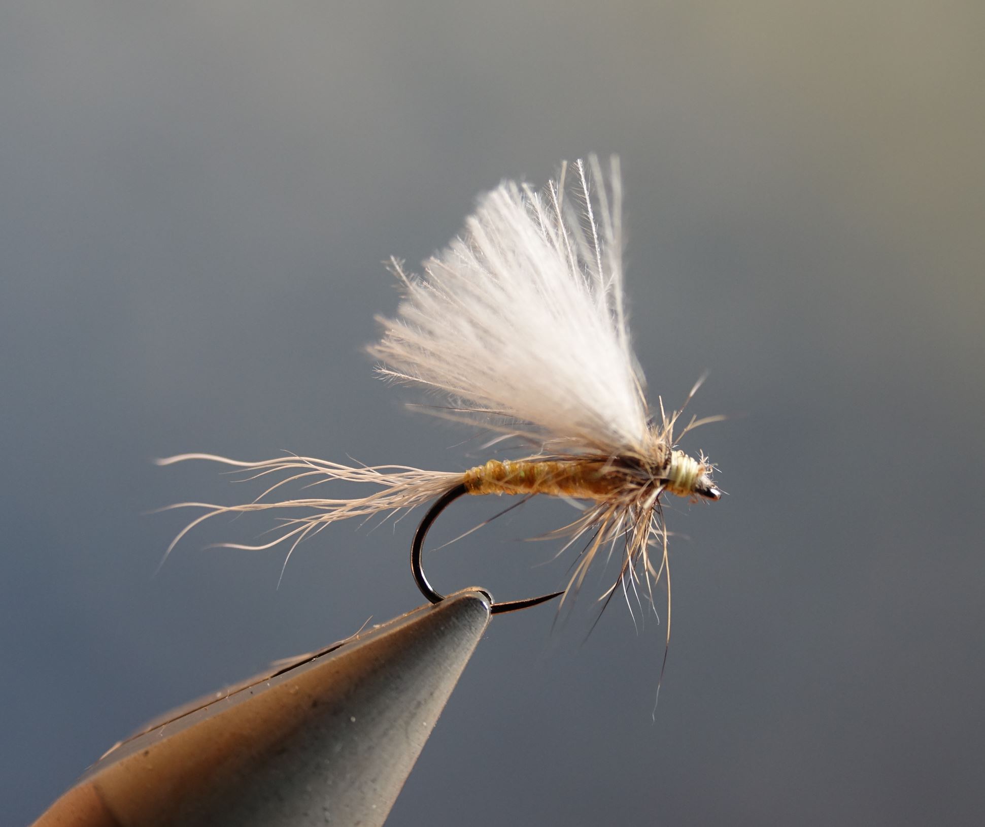 Mane blanche veau veal cerque tail fur fly mche flytying eclosion