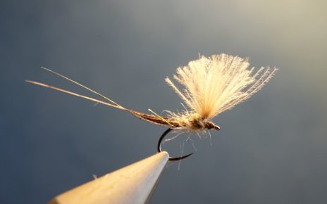 hackle rooster coq mirage cerque tail fly flytying mouche eclosion