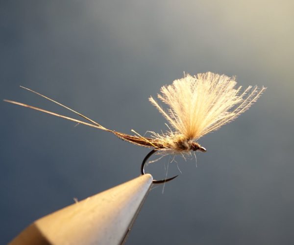 hackle rooster coq mirage cerque tail fly flytying mouche eclosion