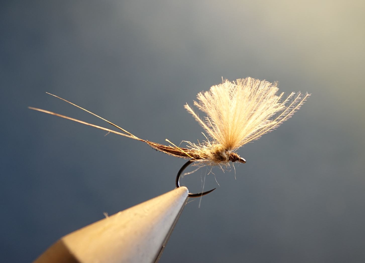 hackle rooster coq mirage cerque tail fly flytying mouche eclosion