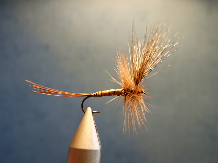 Mouche de Mai MDM mayfly dry fly flytying gallica eclosion