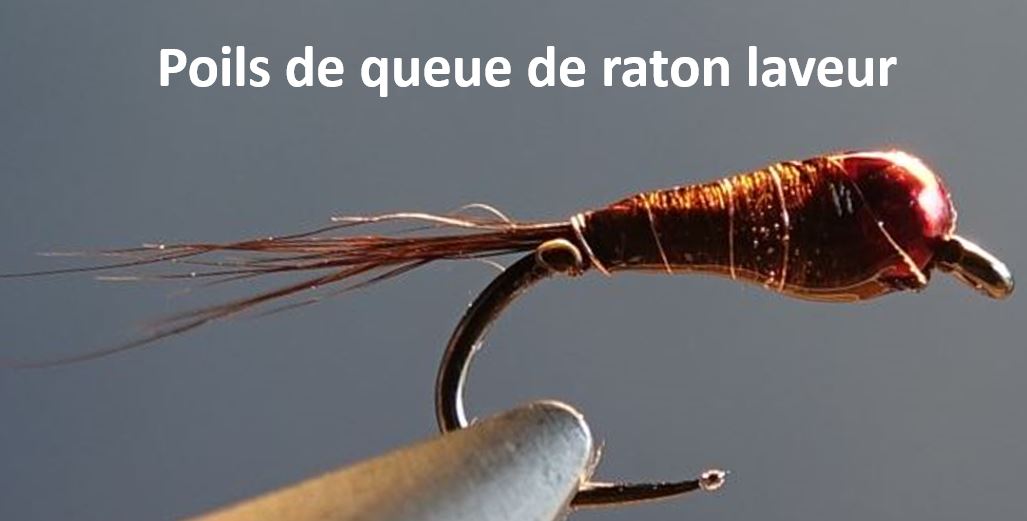 Perdigon raccon raton laveur cerque tail fur poils mouche fly flytying eclosion