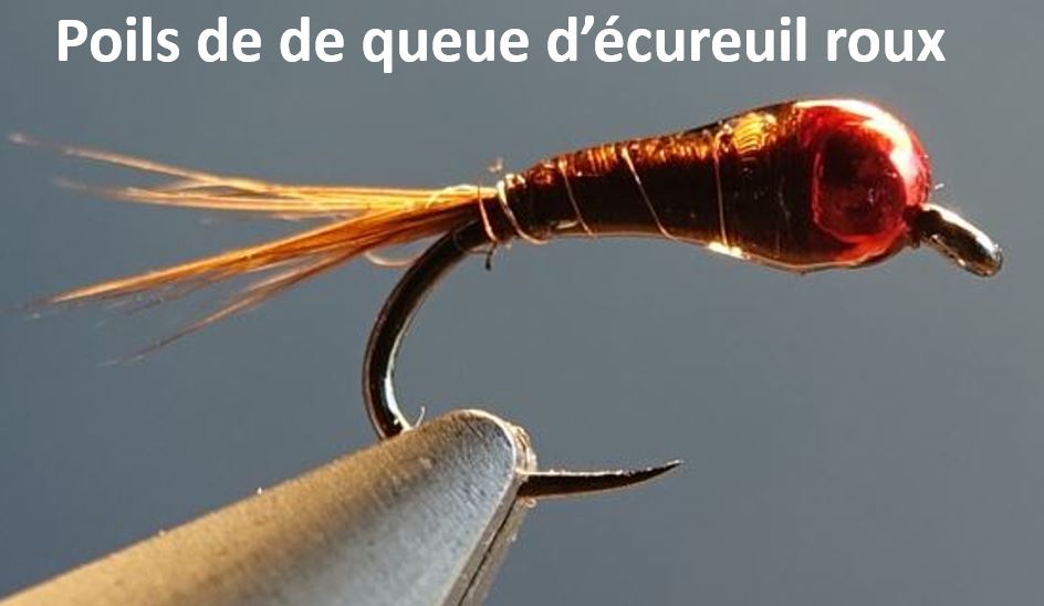 Perdigon squirrel ecureuil poil fur cerque tail fly mouche flytying eclosion