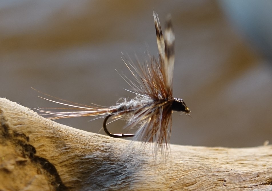 Adams mouche fly dryfly hackle flytying eclosion Casa Chris Eric06 Flylutz Lapoisse Pierrot