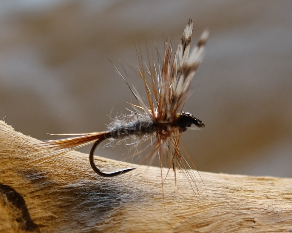 Adams mouche fly dryfly hackle flytying eclosion Casa Chris Eric06 Flylutz Lapoisse Pierrot Tonio