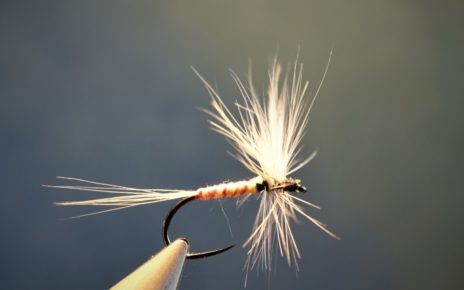 gallica manne blanche mouche fly dry tying flytying Polymitarcis virgo eclosion