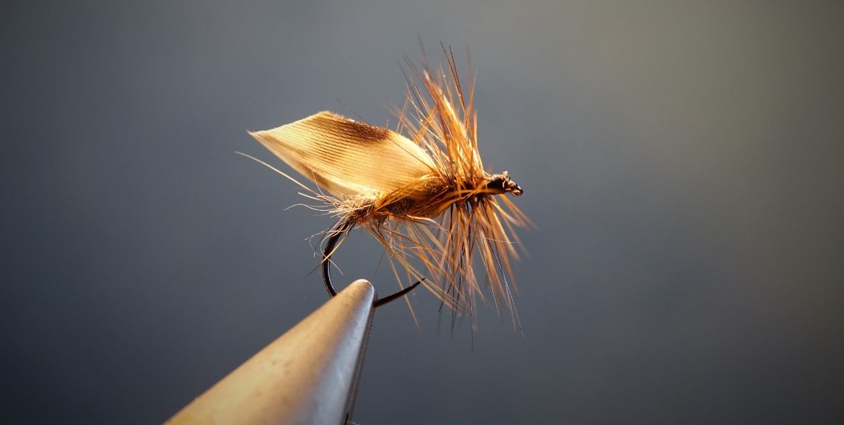 gallica nocturne nocturnal sedge caddis fly mouche flytying eclosion