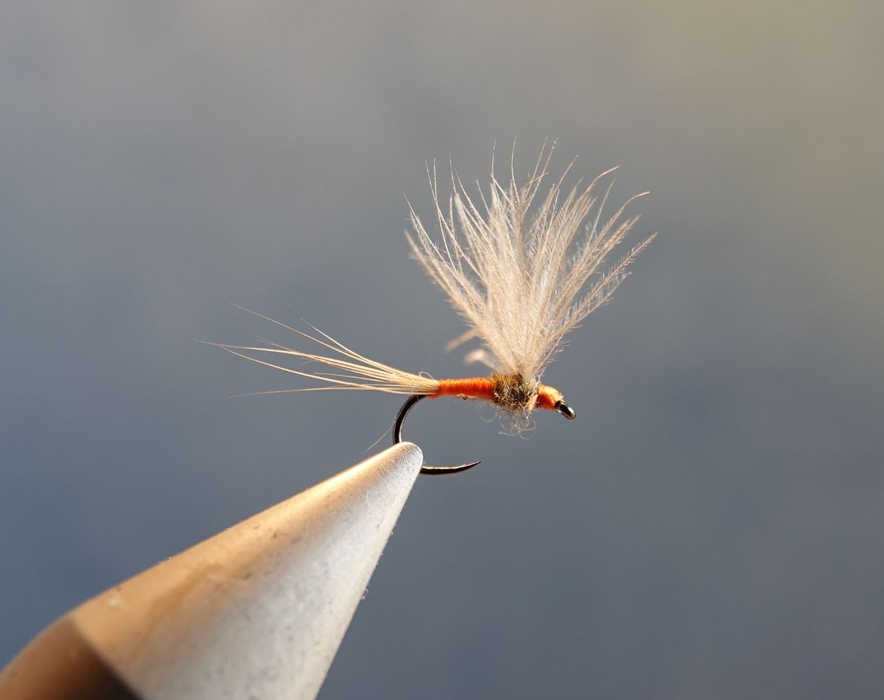 Raccon raton laveur poil fur cerque tail fly mouche flytying eclosion