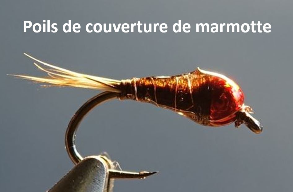 perdigon marmotte woodcuck marmot tail cerque fur poil mouche fly flytying eclosion