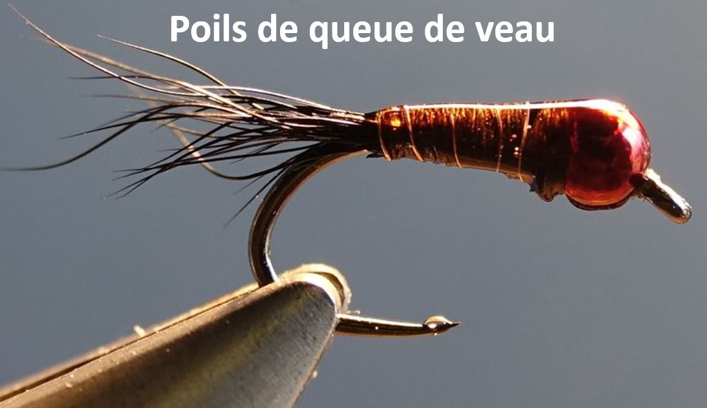 perdigon veau veal cerque tail fur fly mouche flytying eclosion