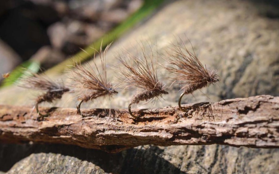 simple flies morgan lyle eclosion flytying montage dryfly nymphes nymphs wet flies streamer