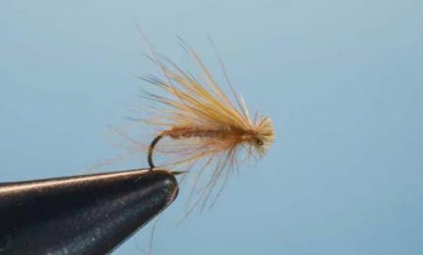 CDC & Elk eclosion sedge caddis