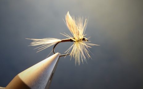 olive baetis gallica mouche druy fly flytying eclosion