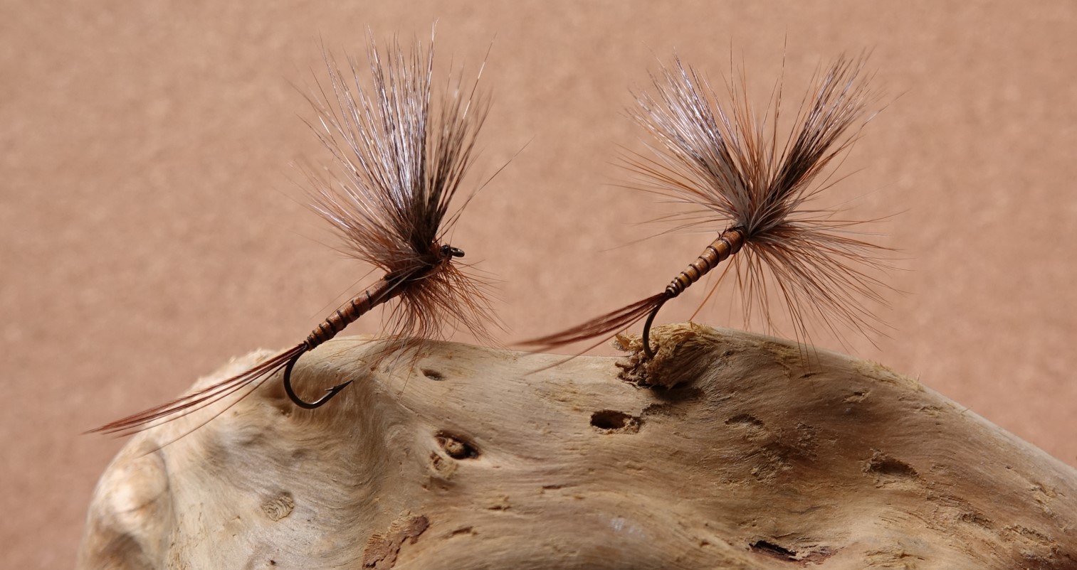 Mouche de Mai MDM mayfly dry fly flytying gallica eclosion