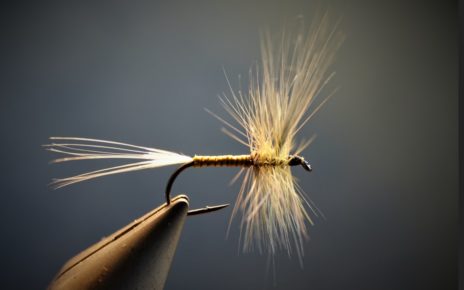 gallica olive dryfly mouche flytying eclosion mise en avant