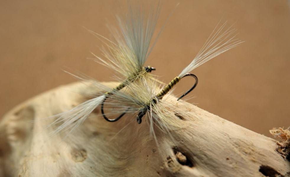 gallica olive dryfly mouche flytying eclosion mise en avant