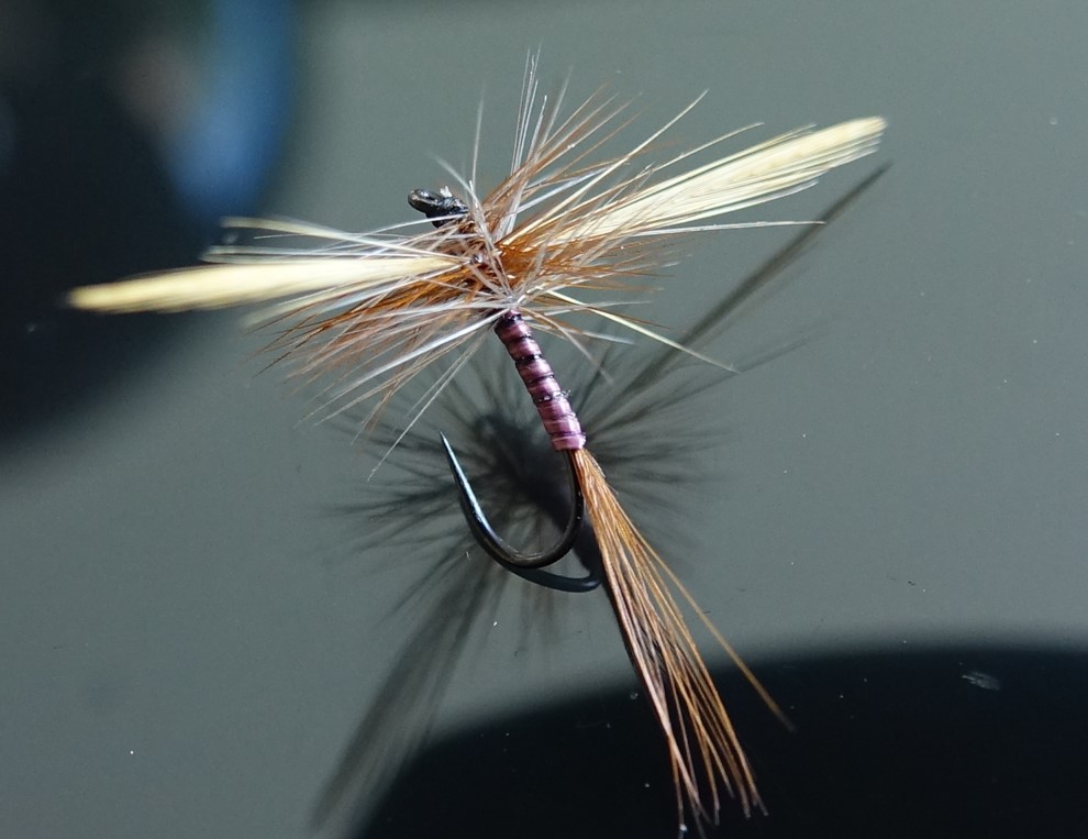 gallica olive mouche BWO dryfly spent imago flytying hackle eclosion
