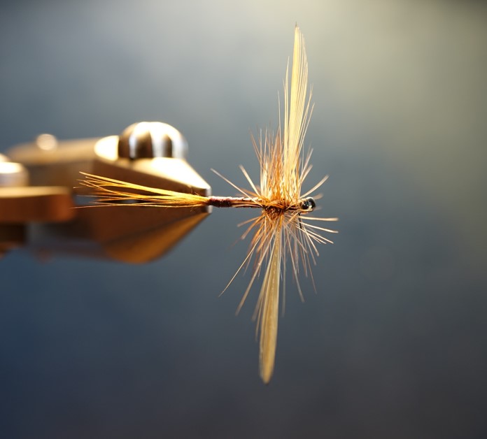 gallica olive mouche BWO dryfly spent imago flytying hackle eclosion