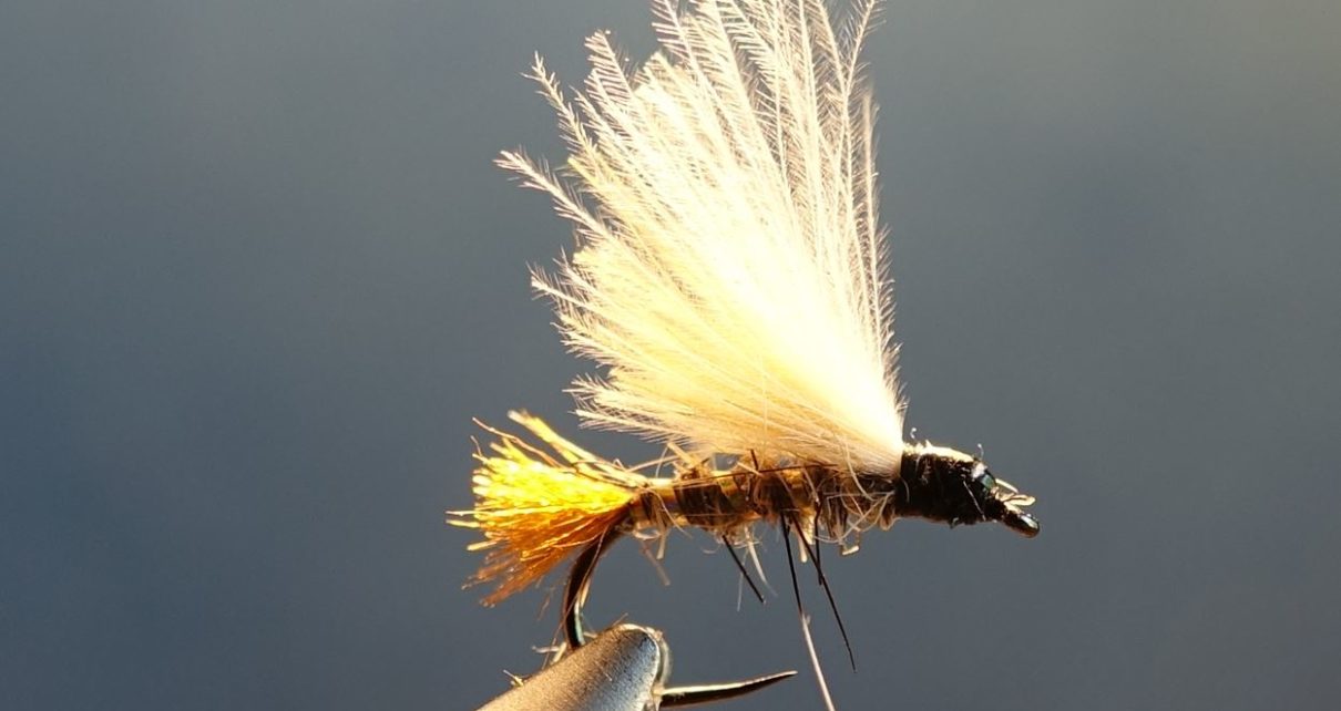 JBE emergente mouche fly flytying lievre hare squirrel ecureuil CDC eclosion JBE