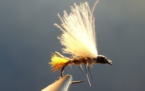 JBE emergente mouche fly flytying lievre hare squirrel ecureuil CDC eclosion JBE