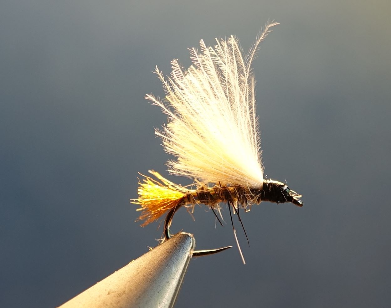 JBE emergente mouche fly flytying lievre hare squirrel ecureuil CDC eclosion JBE