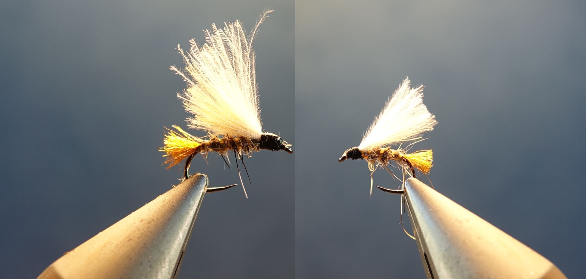 JBE JBE emergente mouche fly flytying lievre hare squirrel ecureuil CDC eclosion