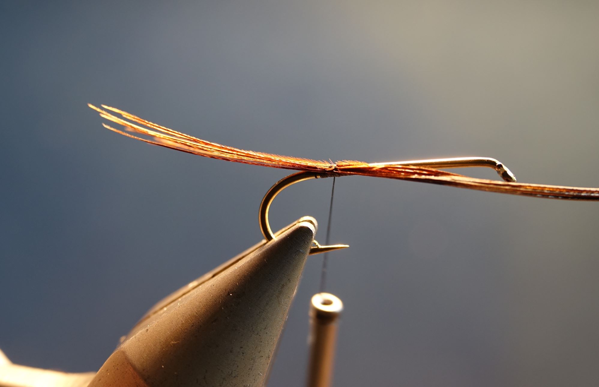 cerques faisan pheasant tips flytying eclosion